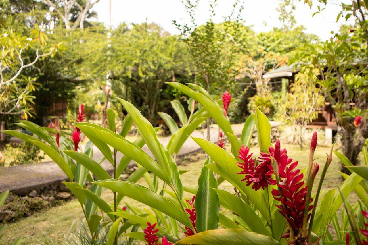 Bungalows Ache Cahuita Exterior photo